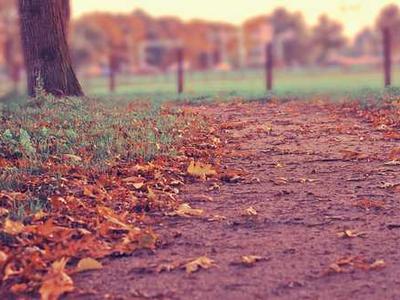 竣工与售后服务